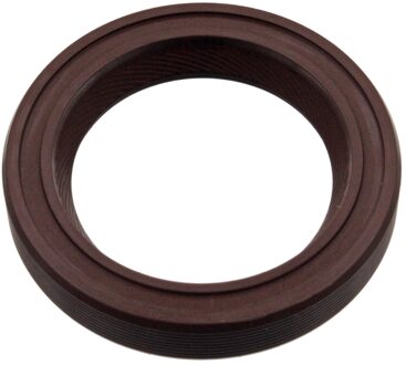 BMW Nokkenasdichtring