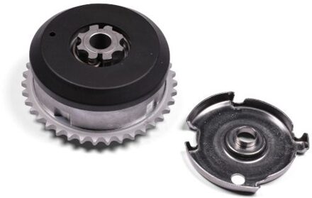 BMW Nokkenasregelaar 217030