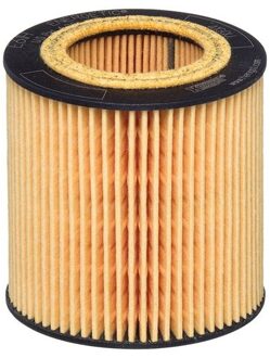 BMW Oliefilter E61HD258