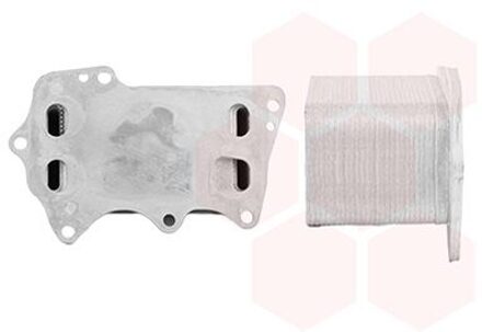 BMW Oliekoeler Voor Motor 06013738