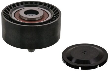 BMW Ombuigrol 100252