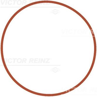 BMW Pakking, inlaatspruitstuk 711140400