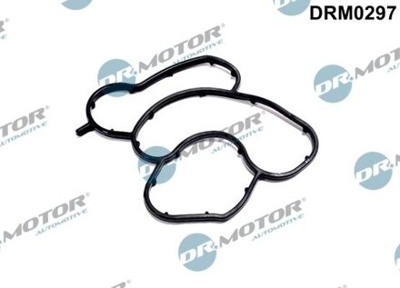 BMW Pakking, oliefilteromkasting DRM0297