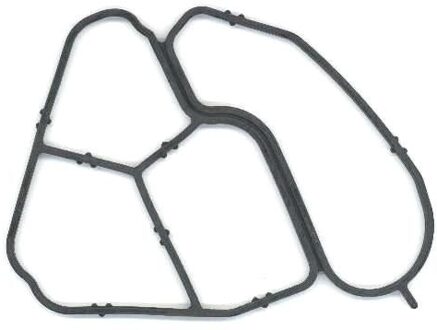 BMW Pakking, oliefilteromkasting