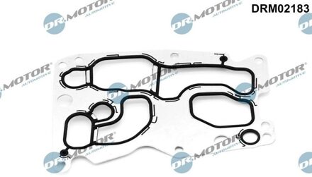 BMW Pakking, oliekoeler DRM02183