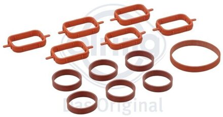 BMW Pakkingsset, inlaatspruitstuk