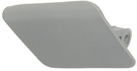 BMW Plaat, bumper 5513000063922P