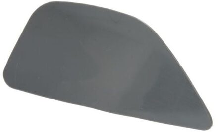 BMW Plaat, bumper 5513000067924GP