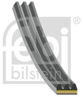 BMW Poly V-riem 183220