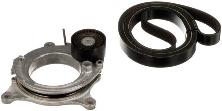 BMW Poly V-riem set K106PK1173