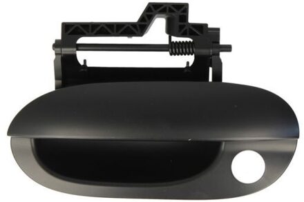 BMW Portiergreep buitenkant 601005011401P