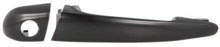 BMW Portiergreep buitenkant 601005013401PP