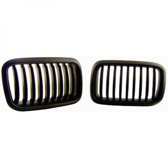 BMW Radiateurgrille 1213340
