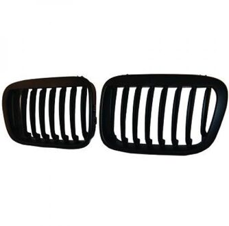 BMW Radiateurgrille 1214640