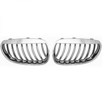 BMW Radiateurgrille 1224240