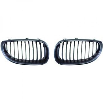 BMW Radiateurgrille 1224540