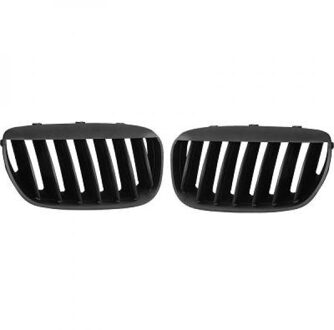 BMW Radiateurgrille 1290540