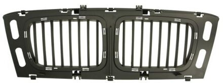 BMW Radiateurgrille 6502070057999P