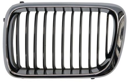 BMW Radiateurgrille 6502070060997P
