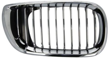 BMW Radiateurgrille 6502070061992PP