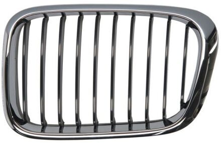BMW Radiateurgrille 6502070061993P
