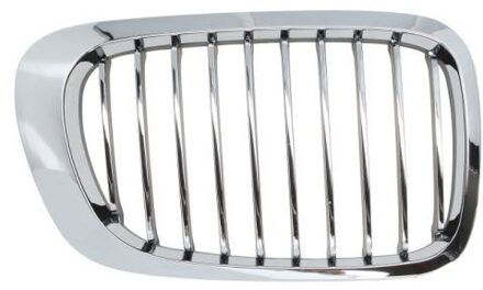 BMW Radiateurgrille 6502070061996PP