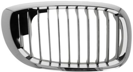 BMW Radiateurgrille 6502070061997PP
