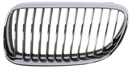 BMW Radiateurgrille 65020700629915PP