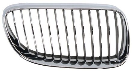 BMW Radiateurgrille 65020700629916PP