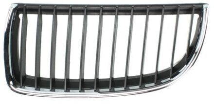BMW Radiateurgrille 6502070062991P