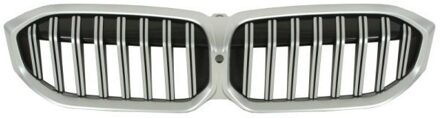 BMW Radiateurgrille 6502070064990P