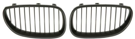 BMW Radiateurgrille 6502070066991KP