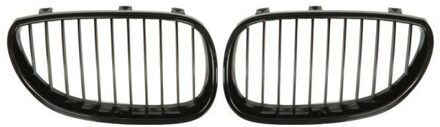BMW Radiateurgrille 6502070066992KP