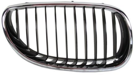 BMW Radiateurgrille 6502070066992P