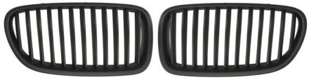 BMW Radiateurgrille 6502070067991KP