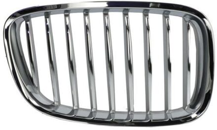 BMW Radiateurgrille 6502070067992GP
