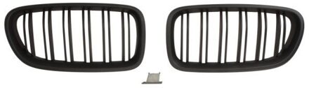 BMW Radiateurgrille 6502070067992KP