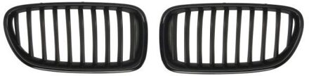 BMW Radiateurgrille 6502070067994KP