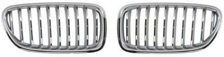 BMW Radiateurgrille 6502070067997BP