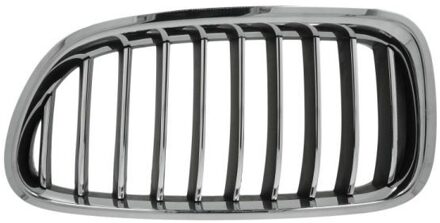 BMW Radiateurgrille 6502070067997P