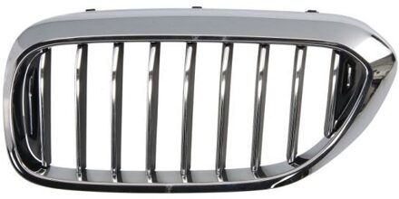 BMW Radiateurgrille 6502070068993P
