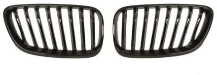 BMW Radiateurgrille 6502070069993P