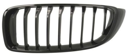BMW Radiateurgrille 65020700709911P
