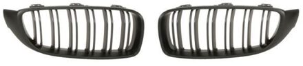 BMW Radiateurgrille 6502070070991KP