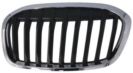 BMW Radiateurgrille 6502070071993P