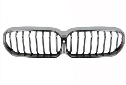 BMW Radiateurgrille 6502070072991P