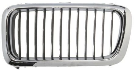 BMW Radiateurgrille 6502070075993P