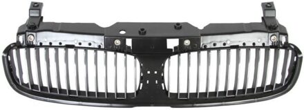 BMW Radiateurgrille 6502070076991P