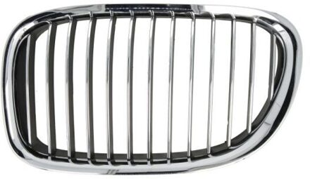 BMW Radiateurgrille 6502070077991P