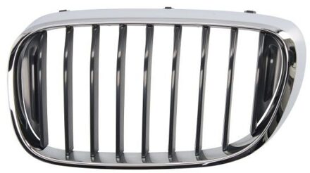 BMW Radiateurgrille 6502070078991P